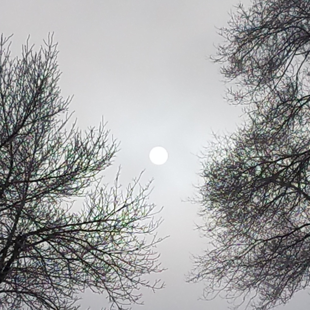 Meet your Posher, Jodee